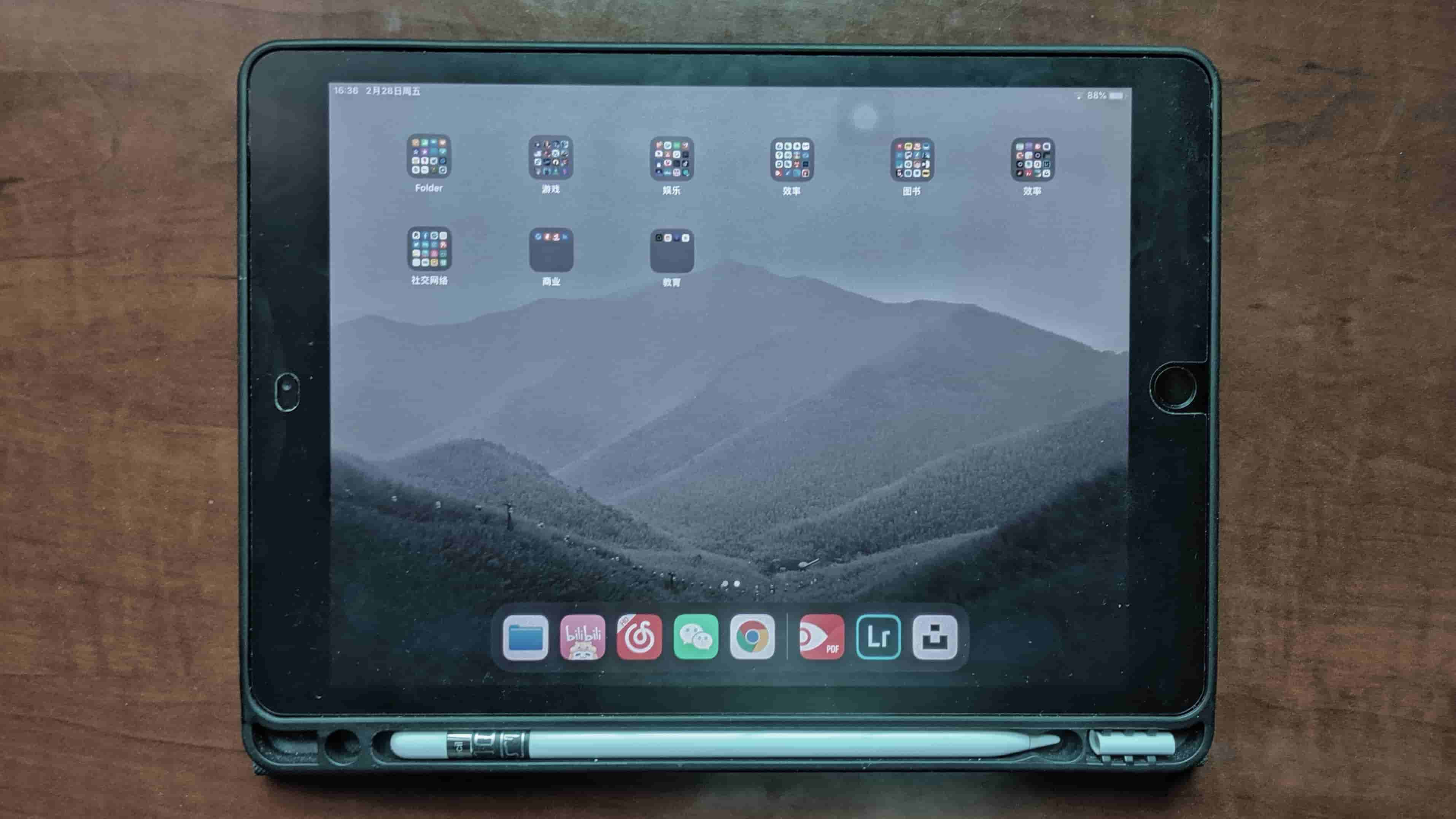 iPad 2019